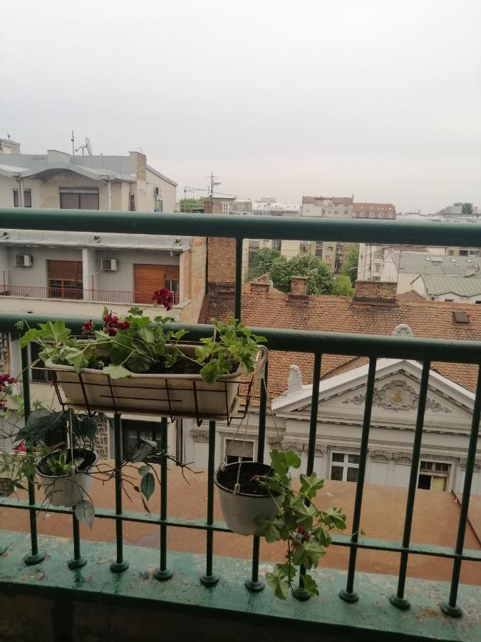 Apartman Centar Beograd Eksteriør billede